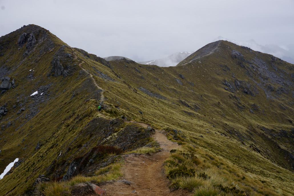 Senderos en Kepler Track