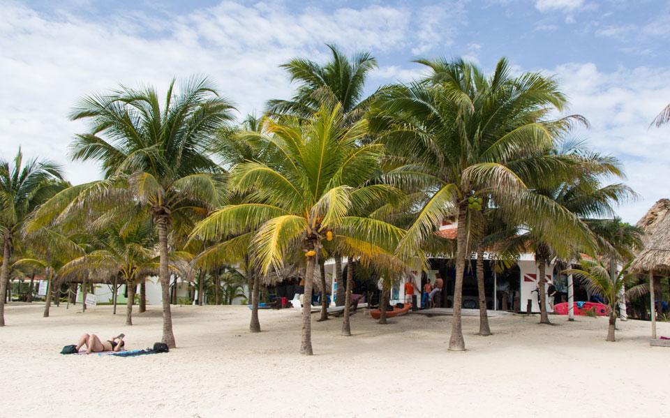 Akumal: Esnórquel con tortugas